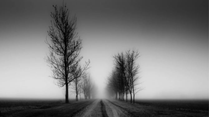 Black & White Poster